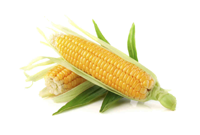 Korzyści zdrowotne kukurydzy