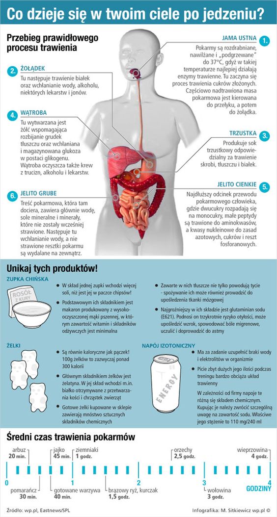 Co dzieje się w twoim ciele po jedzeniu